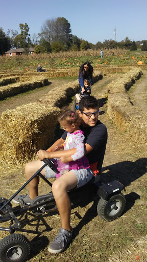 Christmas Tree Farm «Piney Acres», reviews and photos, 1115 E 1000 N, Fortville, IN 46040, USA