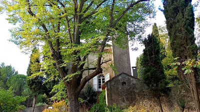 L'arbre d'aqui à Perpignan