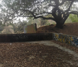 Presa El Chapulin photo