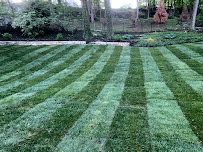 Monzon Landscaping - Photo 3 - Car repair in Woburn, MA, Cambridge