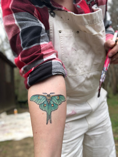 Find elephant tattoo ideas for ladies for your next unique tattoo in Elkin at Black Bear Tattoo