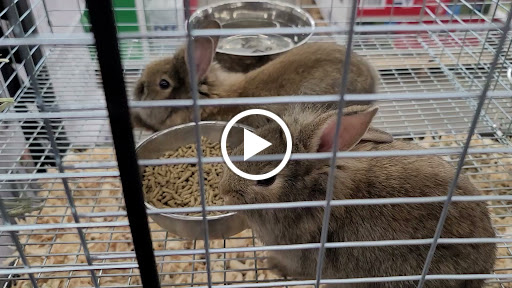 Department Store «Rural King», reviews and photos, 3201 IN-45, Bloomington, IN 47403, USA