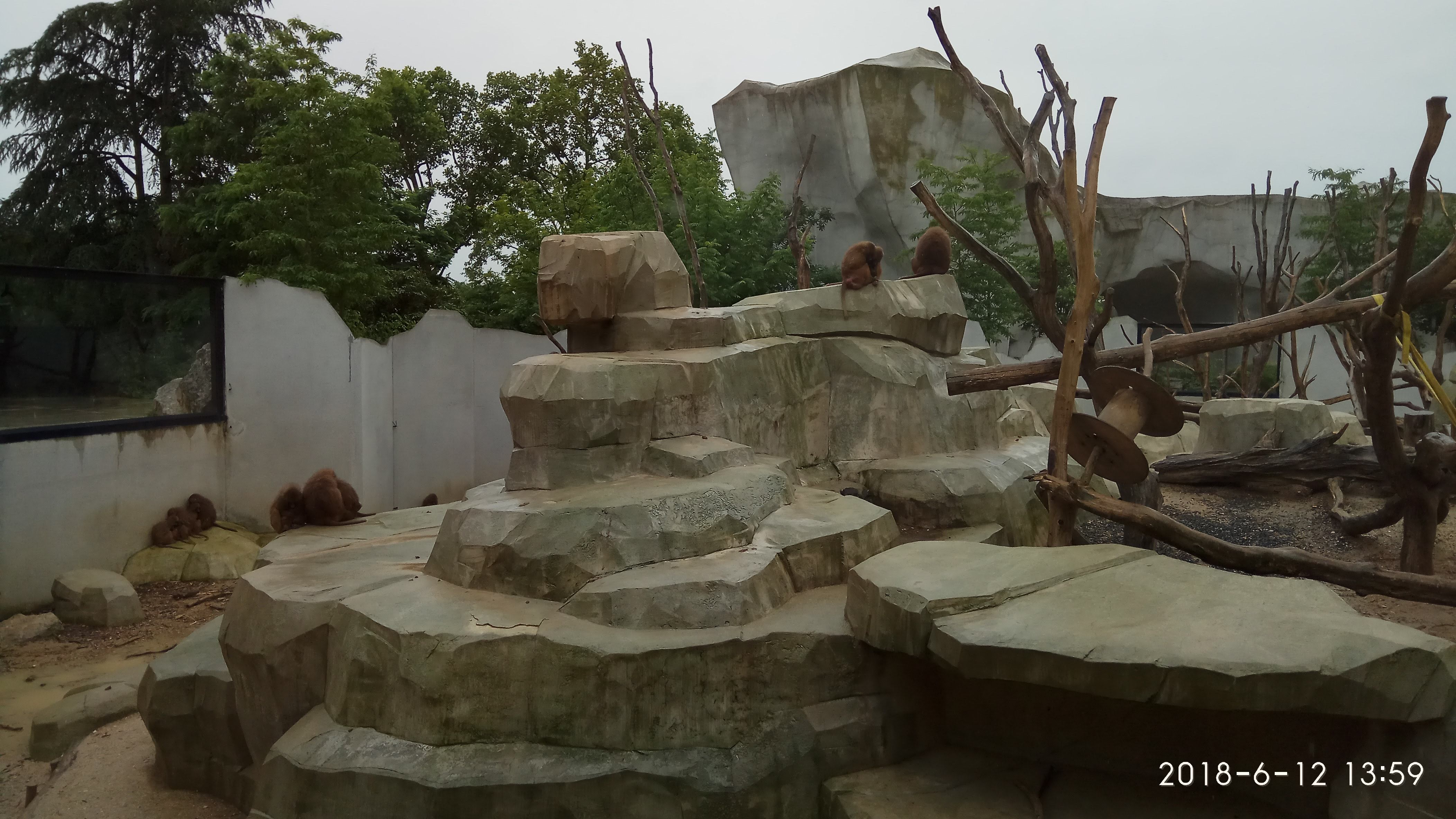 Photo n° 16 de l'avis de Swiss.e fait le 15/06/2018 à 19:24