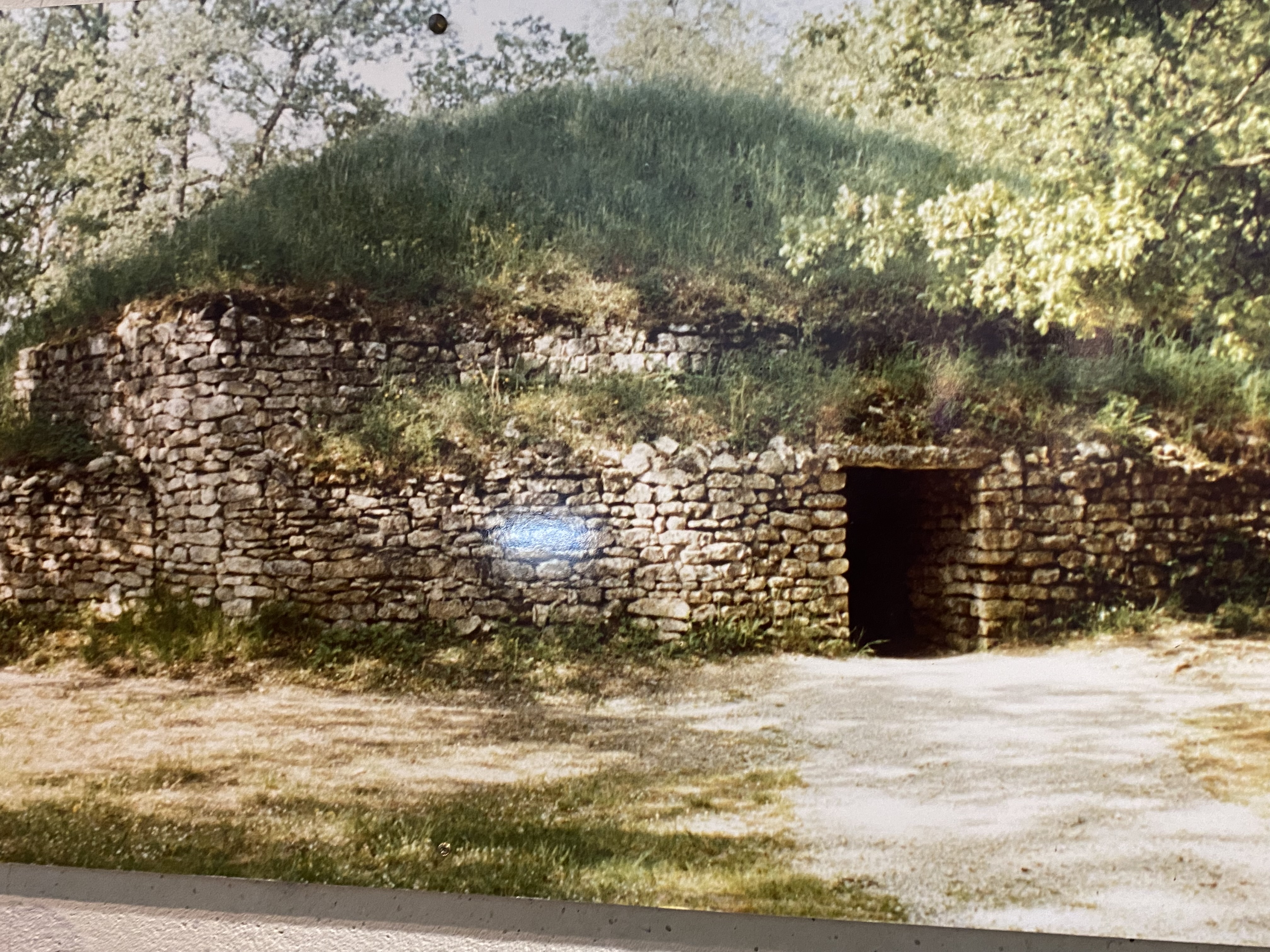 Photo n° 16 de l'avis de paef.a fait le 16/10/2022 à 15:52