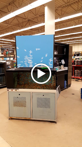 Pet Supply Store «Petco Animal Supplies», reviews and photos, 11398 Bandera Rd #403, San Antonio, TX 78250, USA