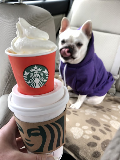 Coffee Shop «Starbucks», reviews and photos, 1212 Forest Ave #761, Pacific Grove, CA 93950, USA