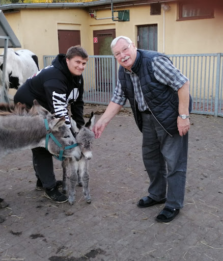 Dr.med.vet. Jörg Roeder Tierarzt unter Gräfenhainichen, 
