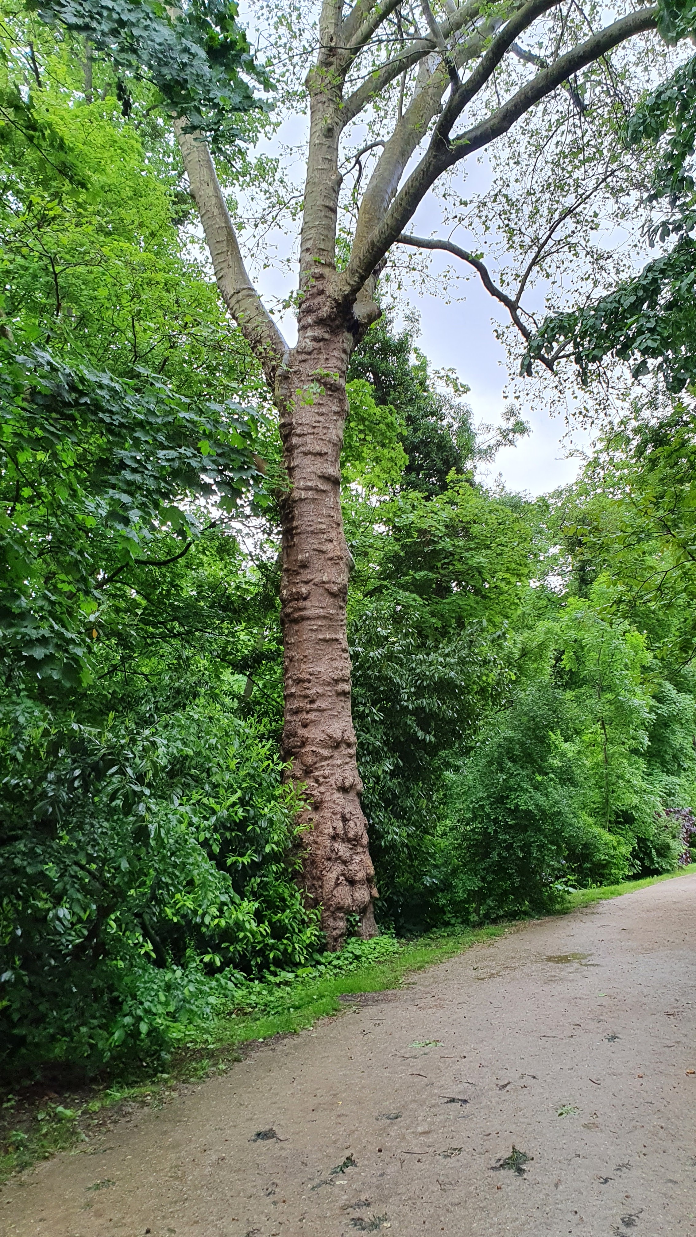 Photo n° 2 de l'avis de rousseau.h fait le 28/05/2021 à 05:58