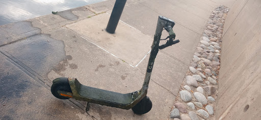 Photo of Bird Electric