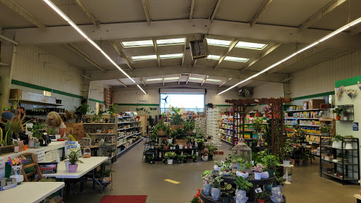 Hardware Store «Payless Hardware, Rockery and Nursery», reviews and photos, 2927 King Rd, San Jose, CA 95122, USA