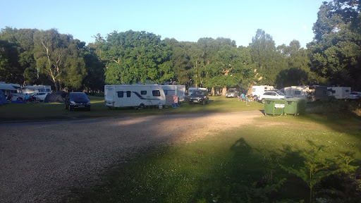 Denny Wood Campsite