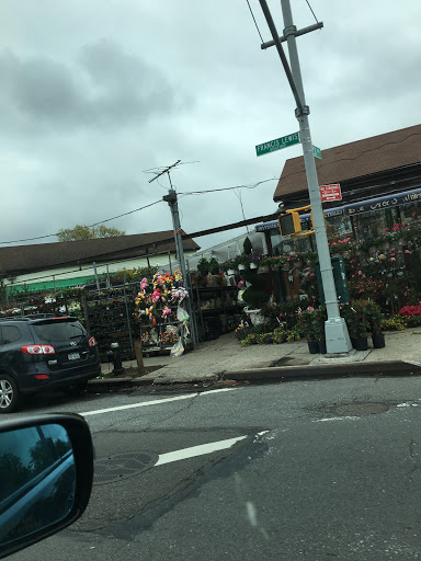 Plant Nursery «A & S Whitestone Nursery», reviews and photos, 2302 Francis Lewis Blvd, Whitestone, NY 11357, USA