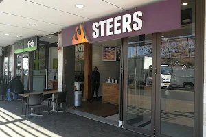 Steers image