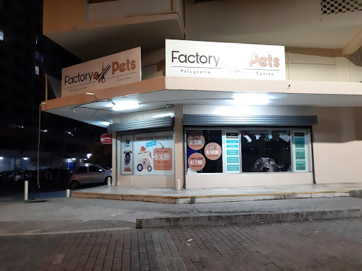 Factory Pets - Fernández De Córdoba
