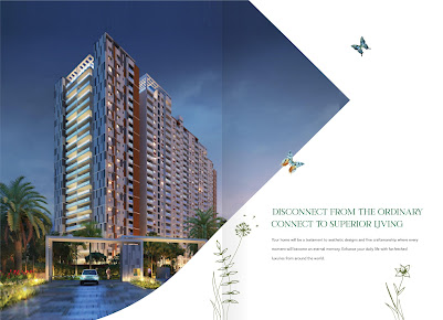 Google Maps image 14