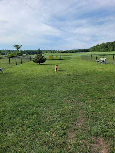 Campground «Cooperstown KOA», reviews and photos, 565 Ostrander Rd, Richfield Springs, NY 13439, USA