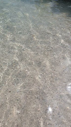 Photo n°123 de La Calanque Bleue à Sausset-les-Pins ()