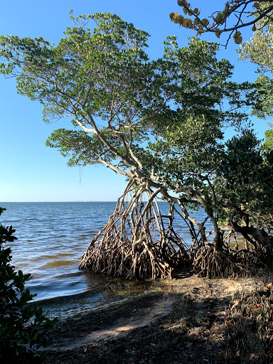 Nature Preserve «Emerson Point Preserve», reviews and photos, 5801 17th St W, Palmetto, FL 34221, USA