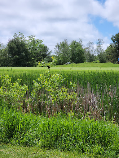 Golf Club «Pheasant Ridge Country Club», reviews and photos, 140 Country Club Rd, Gilford, NH 03249, USA