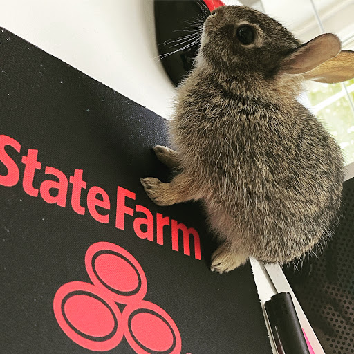 Insurance Agency «Yan Tung - State Farm Insurance Agent», reviews and photos