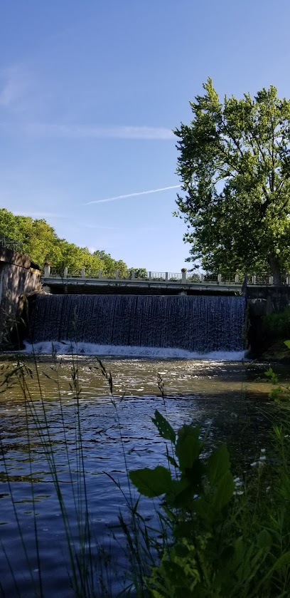 Falls at Newton Falls