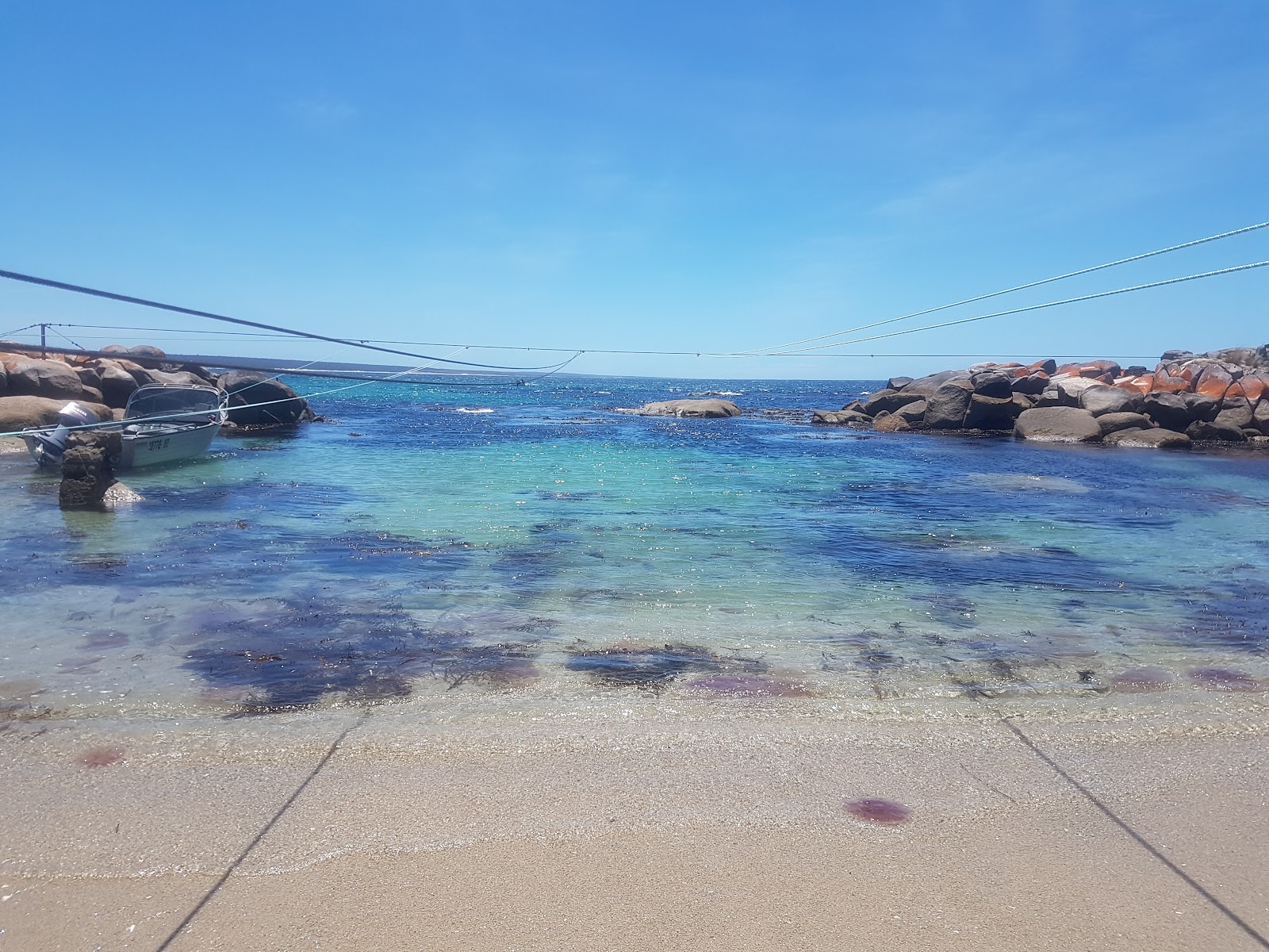 Gardens Lagoon Beach的照片 野外区域