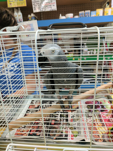 Bird Shop «Paterson Bird Store», reviews and photos, 13 Furler St # 1, Totowa, NJ 07512, USA
