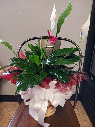 Florist «Treasures To Adore», reviews and photos, 1313 Carolyn Ct, Humble, TX 77338, USA