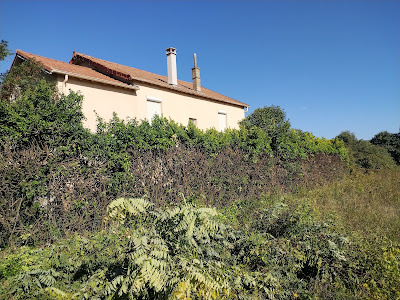COSTE ET FILS ELAGAGE (élagueur) à Montélimar