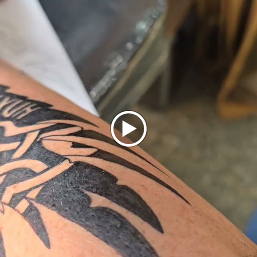 Explore tattoo ideas pets, creative tattoo ideas in Belgrade, available at The Loyal Sparrow Tattoo and Piercing