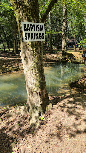 Tourist Attraction «Homestead Hollow», reviews and photos, 1161 Murphrees Valley Rd, Springville, AL 35146, USA