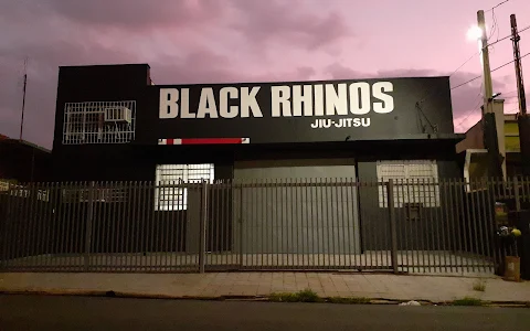 Black Rhinos Jiu-Jitsu Academy image