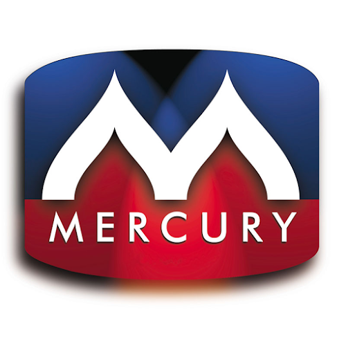 Opinie o Mercury Engineering Polska Sp. z o.o. w Warszawa - Firma budowlana