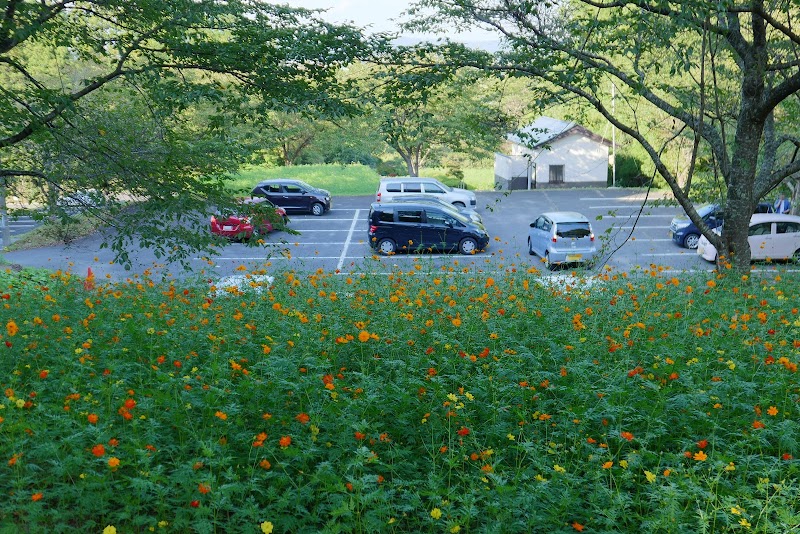 コスモス園（松山御本丸公園） 駐車場