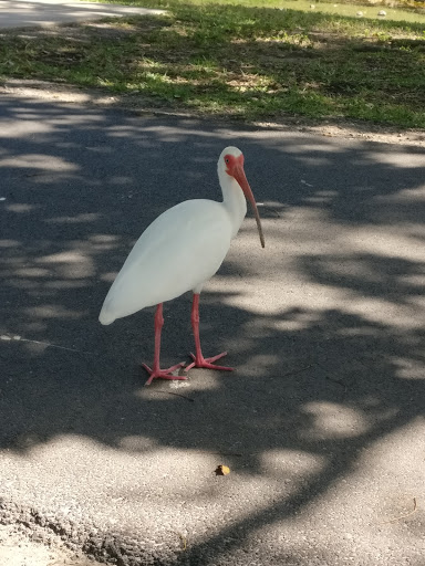 Park «Coral Reef Park», reviews and photos, 7895 SW 152nd St, Palmetto Bay, FL 33157, USA