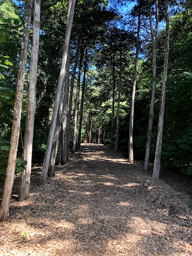 Live Music Venue «Caramoor Center for Music and the Arts», reviews and photos, 149 Girdle Ridge Rd, Katonah, NY 10536, USA