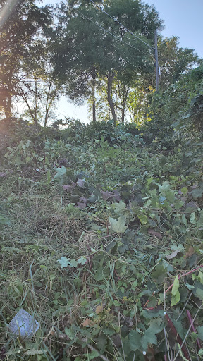 Park «Puddingstone Park», reviews and photos, 331 Seaver St, Boston, MA 02121, USA