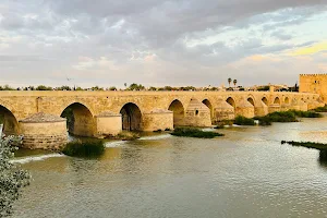 Roman Bridge of Córdoba image