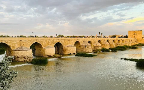 Roman Bridge of Córdoba image