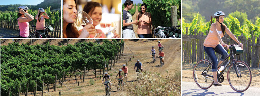 Bicycle Rental Service «Napa Valley Bike Tours & Rentals», reviews and photos, 6500 Washington St, Yountville, CA 94599, USA