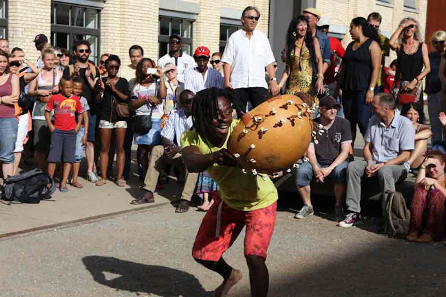 Kommentare und Rezensionen über www.durangodance.ch - Afrikanischer Tanz, Perkussionsevents und Schulworkshops