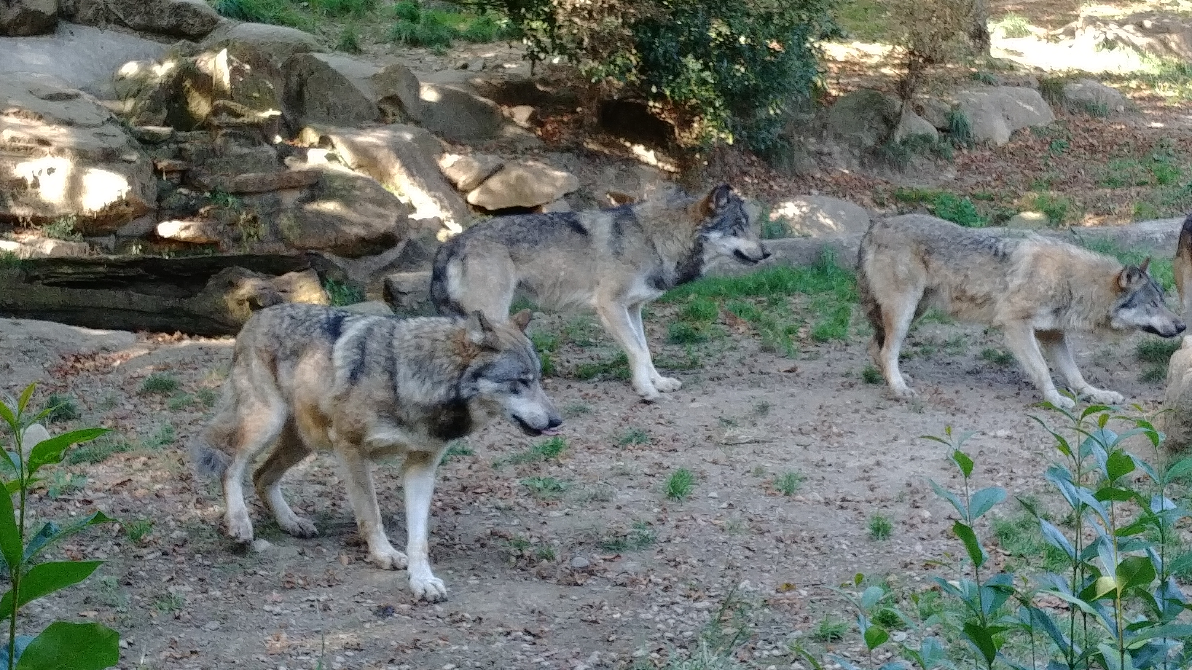 Photo n° 6 de l'avis de Dada.e fait le 30/09/2018 à 20:26