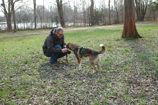 HomoCanis Hundeschule