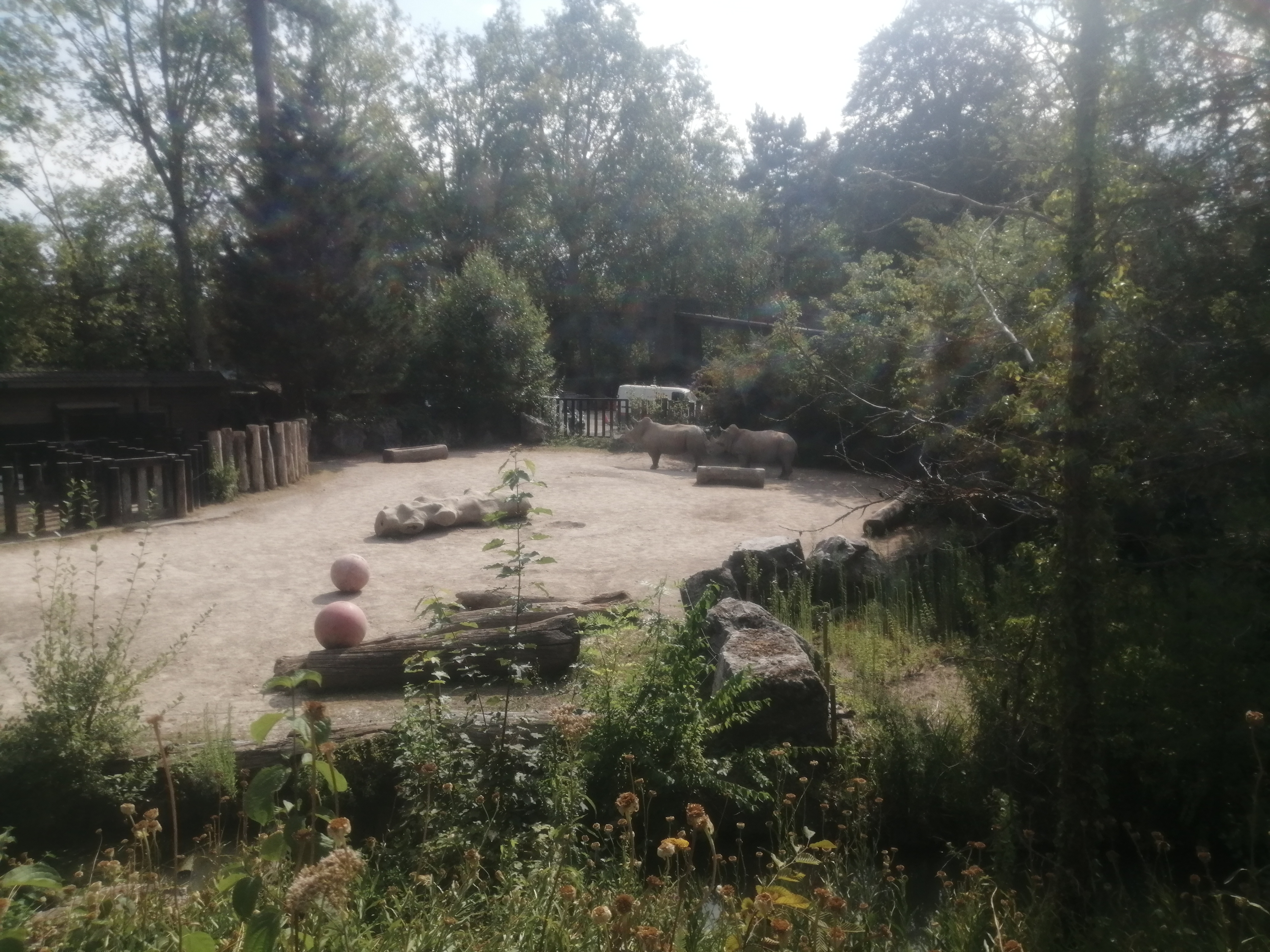 Photo n° 3 de l'avis de Paul.o fait le 08/08/2020 à 16:49