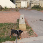 Photo n° 2 de l'avis de Marc.u fait le 13/12/2023 à 12:32 pour CLINIQUE VETERINAIRE MERMOZ VET à Lyon