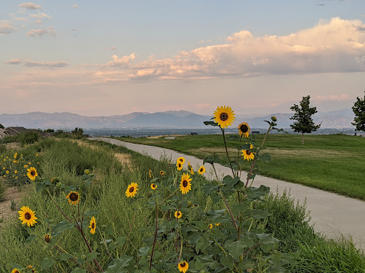 Park «Homestead Hills Park», reviews and photos, 4500 E 140th Ave, Thornton, CO 80602, USA