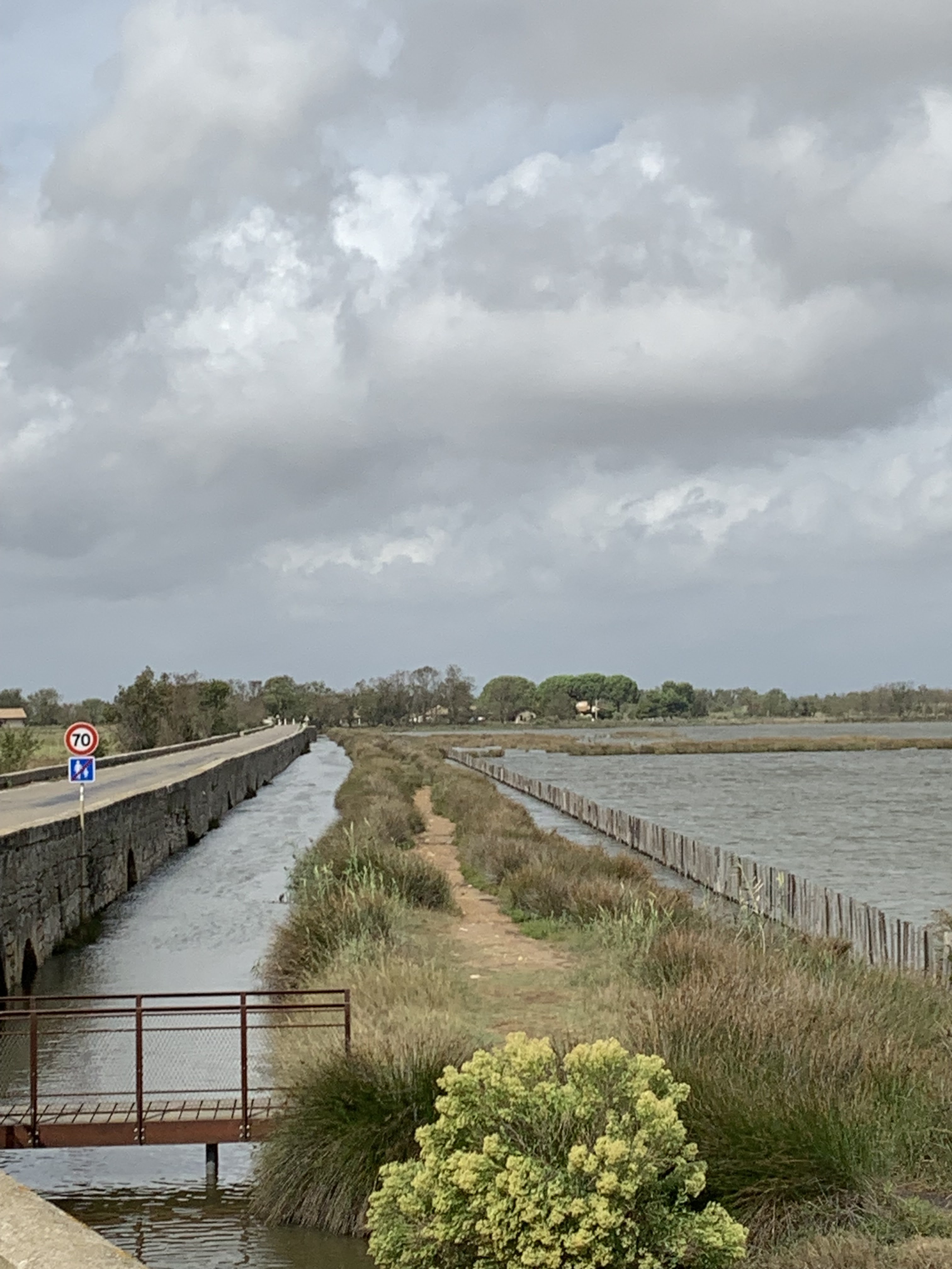 Photo n° 5 de l'avis de Nadège.e fait le 21/09/2023 à 12:45