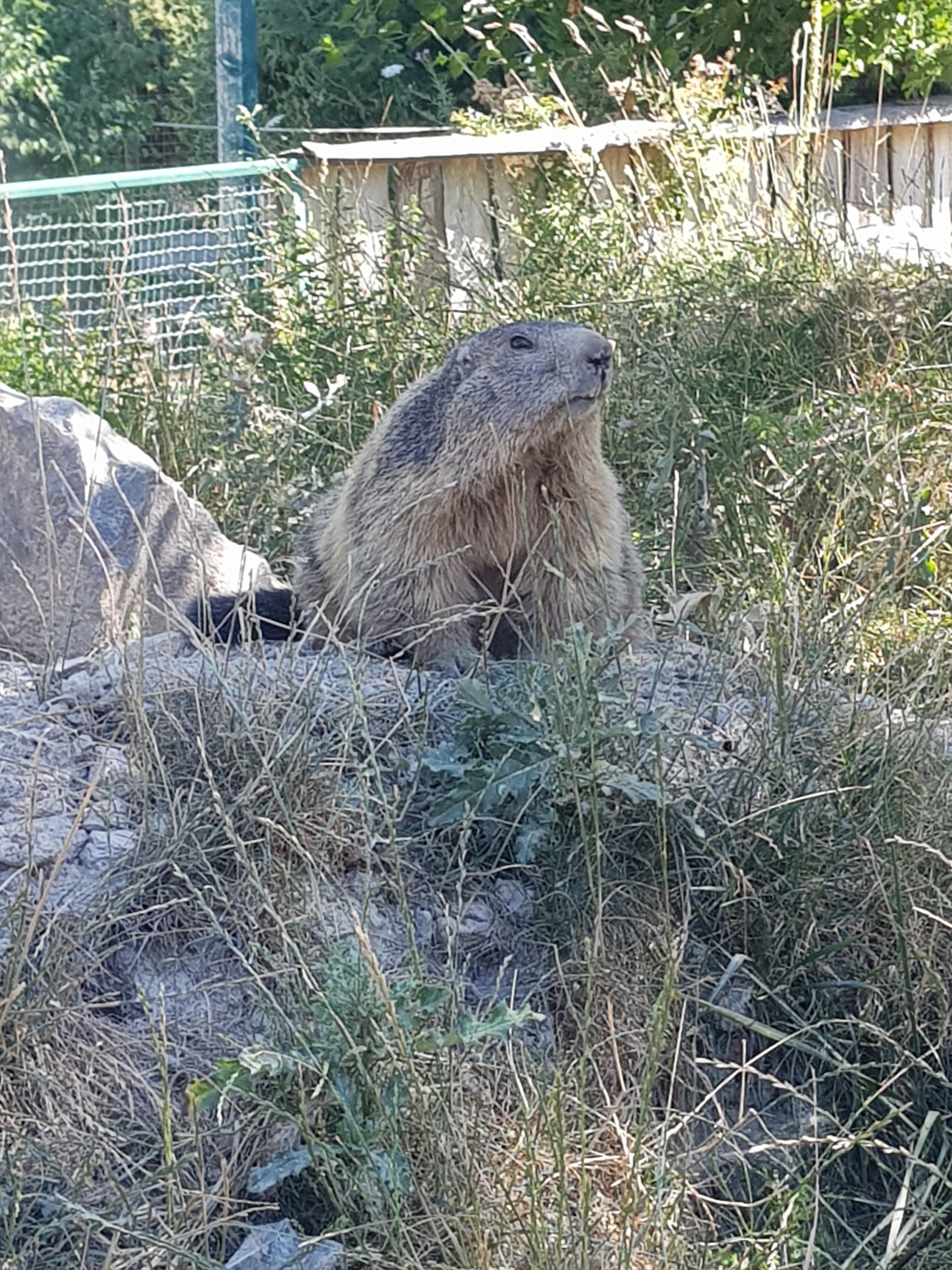 Photo n° 10 de l'avis de ROMAIN.A fait le 14/07/2022 à 16:35