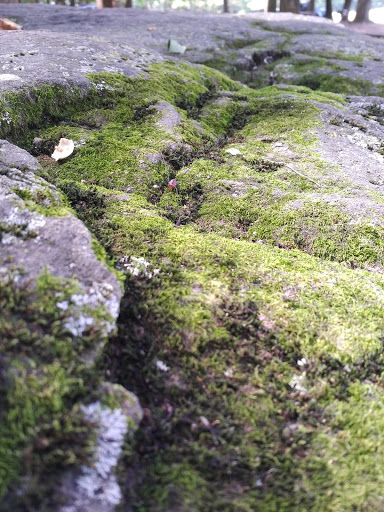 Country Club «Coatesville Country Club», reviews and photos, 143 Reservoir Rd, Coatesville, PA 19320, USA