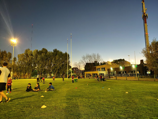 Olivos Rugby Club
